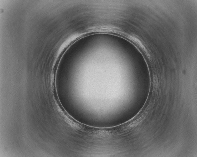 X0000086881424200704231051