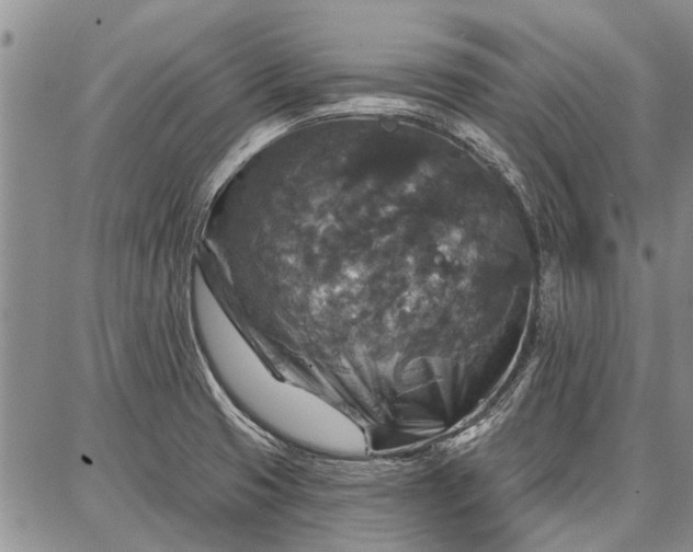 X0000086881425200704231051