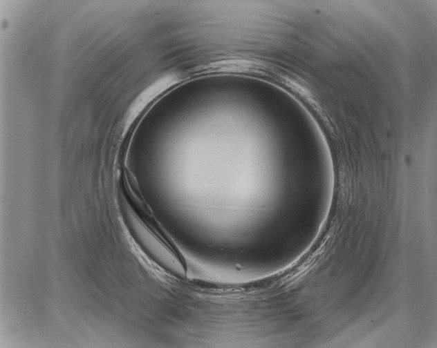 X0000086881426200704231051