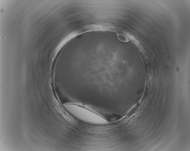 X0000086881427200704231052