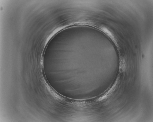 X0000086881428200704231052