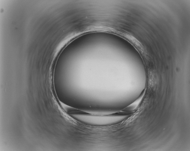 X0000086881430200704231052