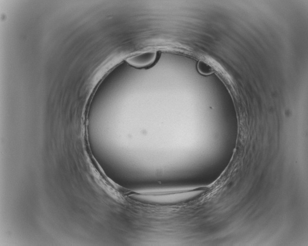 X0000086881431200704231052