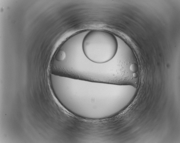 X0000086881432200704231052