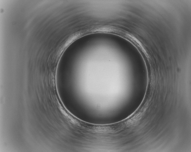 X0000086881433200704231052