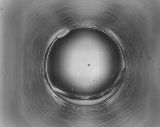 X0000086881434200704231052