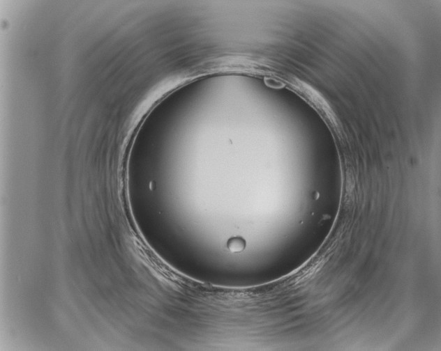 X0000086881435200704231052