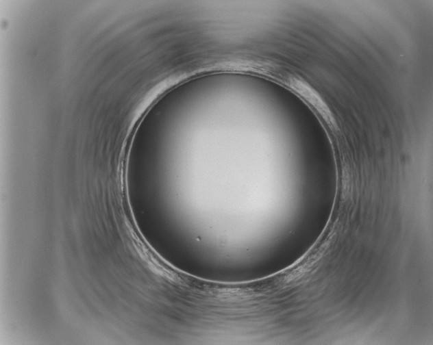 X0000086881436200704231052