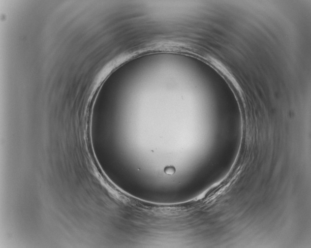 X0000086881437200704231052