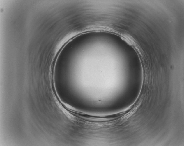 X0000086881438200704231052