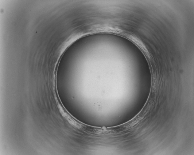 X0000086881439200704231052