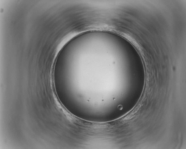 X0000086881440200704231052