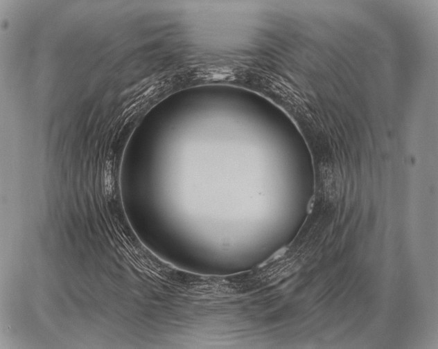 X0000086881442200704231051