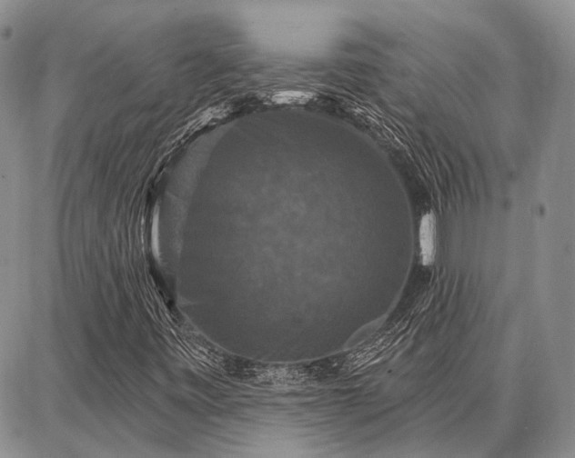 X0000086881443200704231051