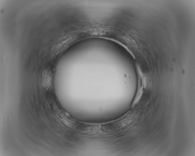 X0000086881444200704231051