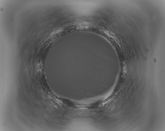 X0000086881445200704231051