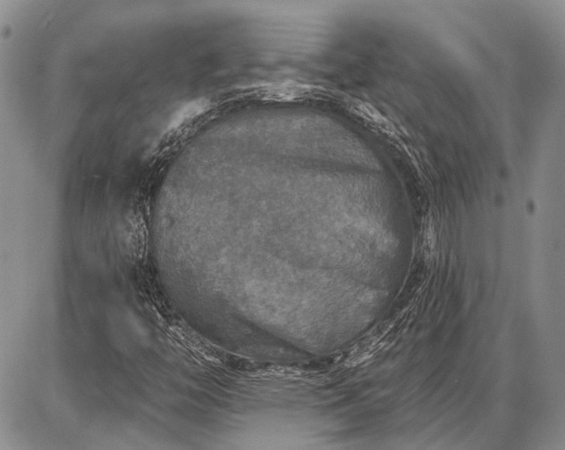 X0000086881446200704231051