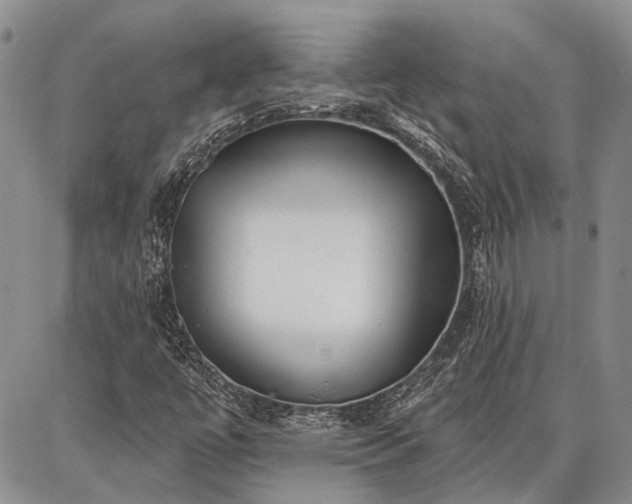 X0000086881447200704231051