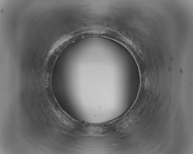 X0000086881448200704231051