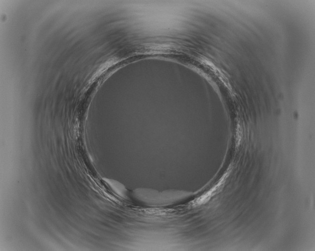 X0000086881449200704231051