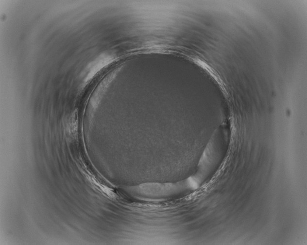 X0000086881450200704231051