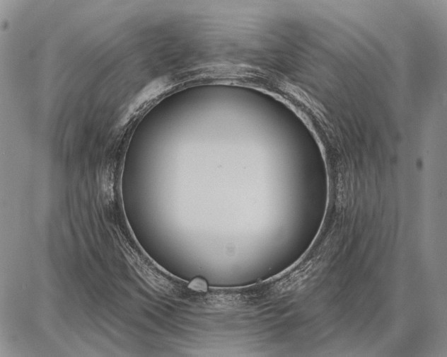 X0000086881451200704231051