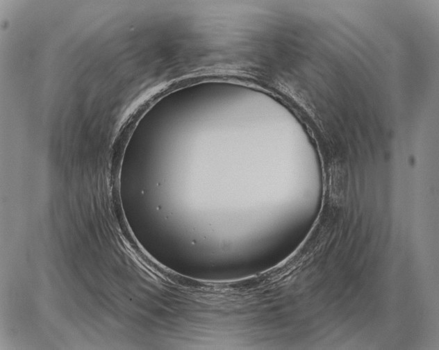 X0000086881452200704231051