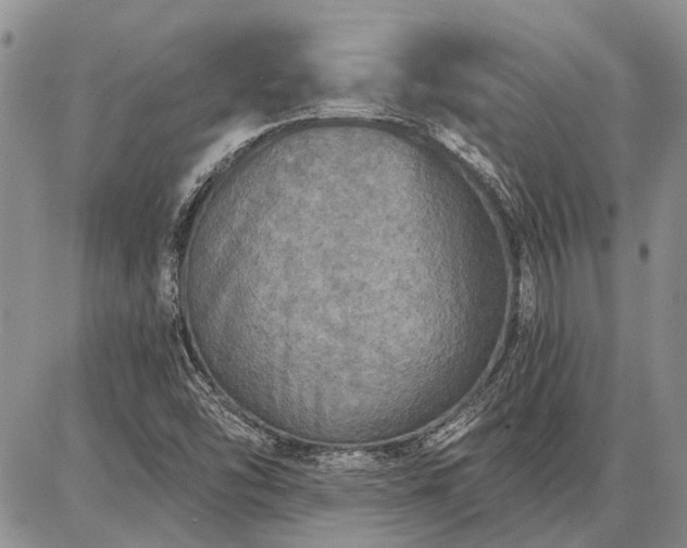 X0000086881454200704231051