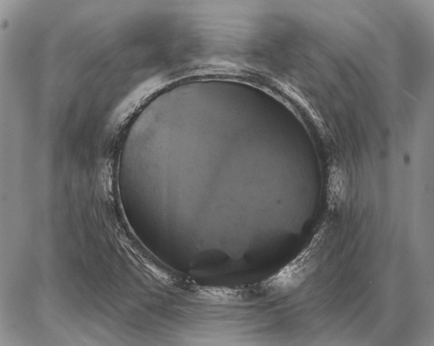 X0000086881455200704231051