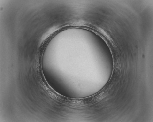 X0000086881456200704231051