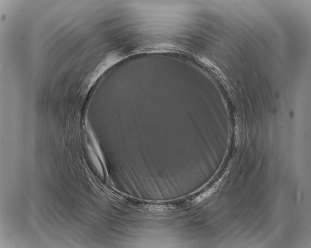 X0000086881457200704231051