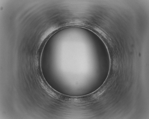 X0000086881458200704231051