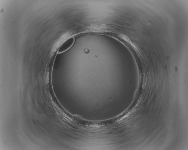 X0000086881459200704231051