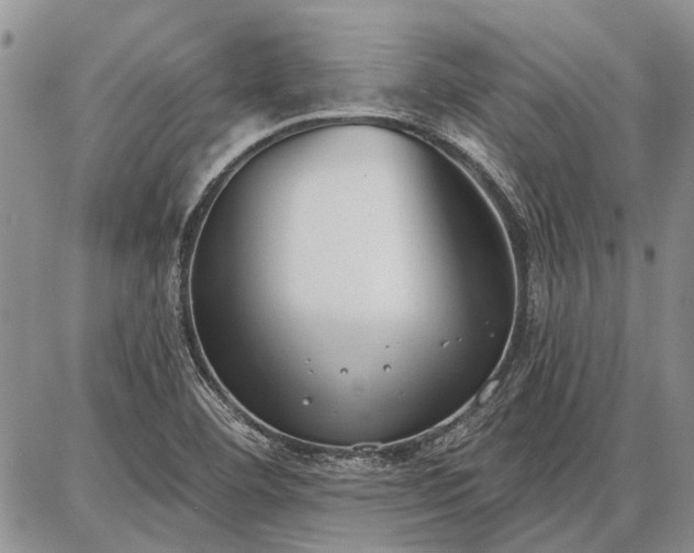 X0000086881460200704231051