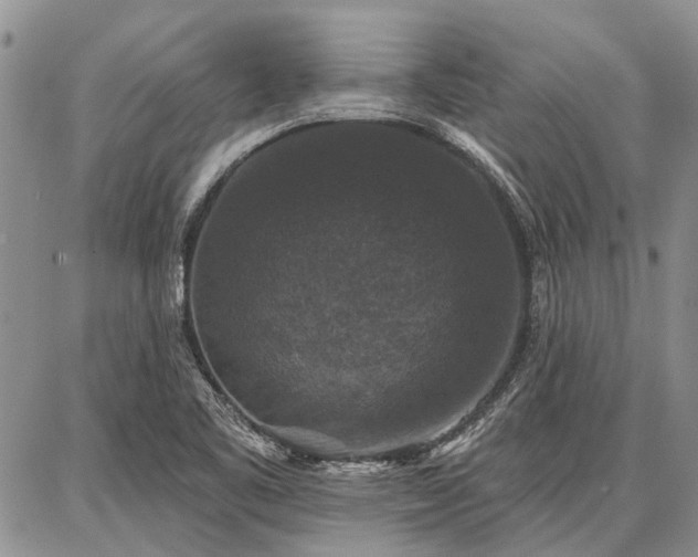 X0000086881461200704231051