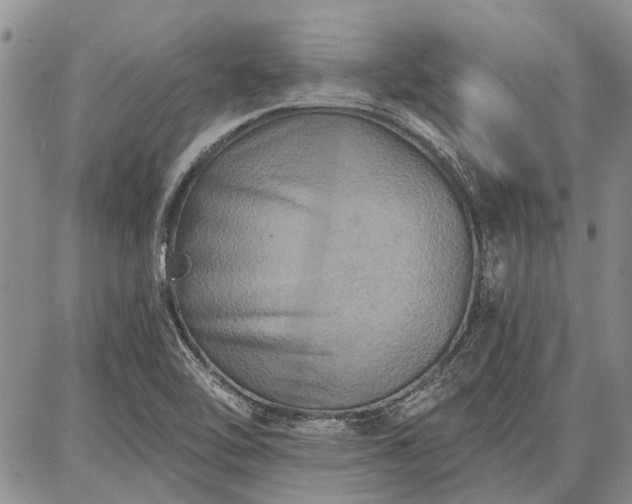 X0000086881462200704231051