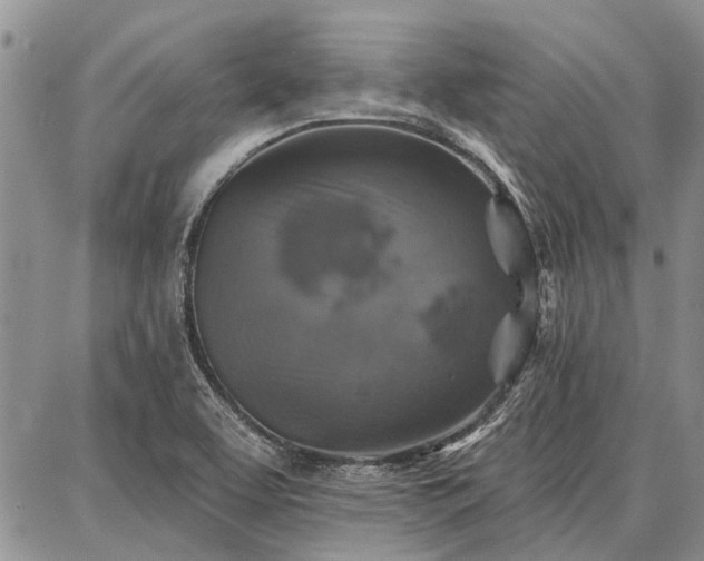 X0000086881463200704231051