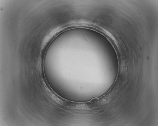 X0000086881464200704231051