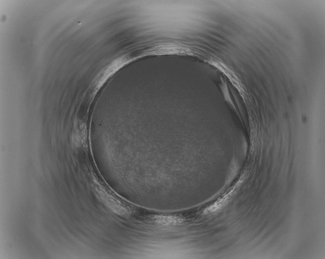 X0000086881465200704231051