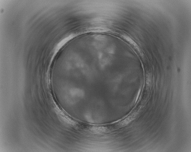 X0000086881466200704231051