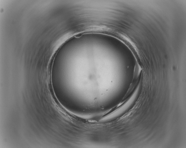 X0000086881467200704231051