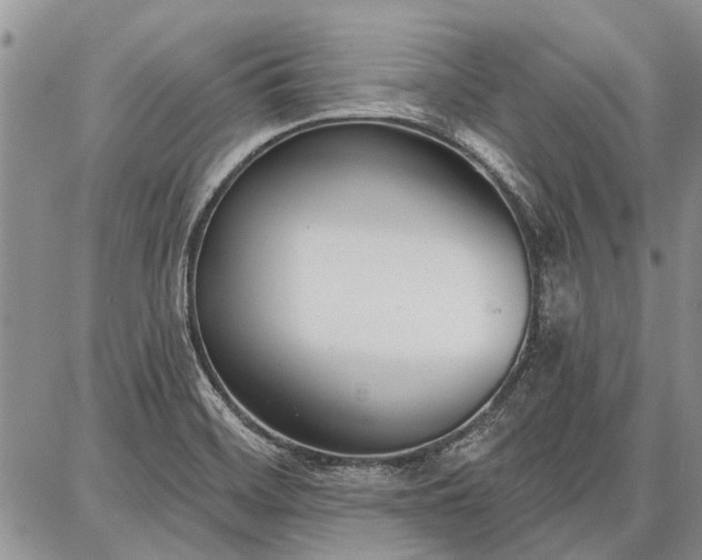 X0000086881468200704231050