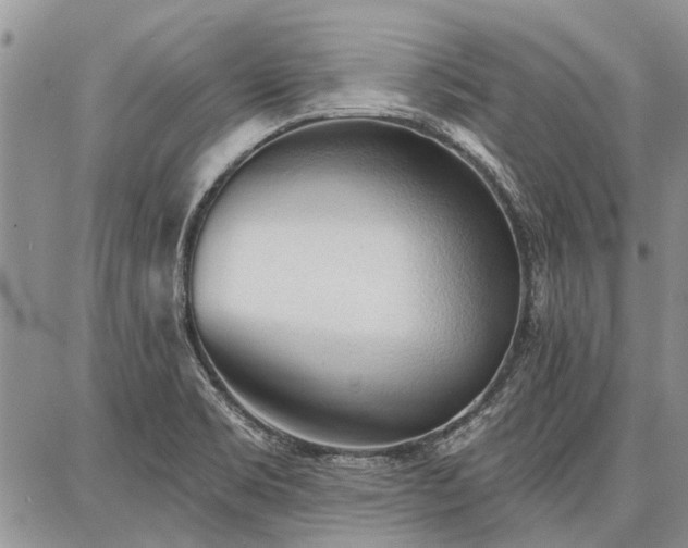 X0000086881469200704231050