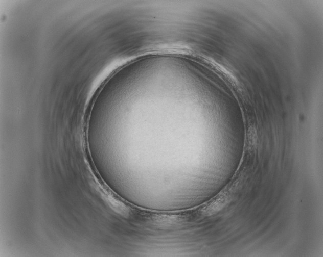 X0000086881470200704231050