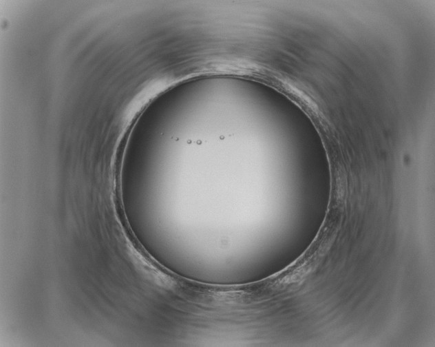 X0000086881471200704231050