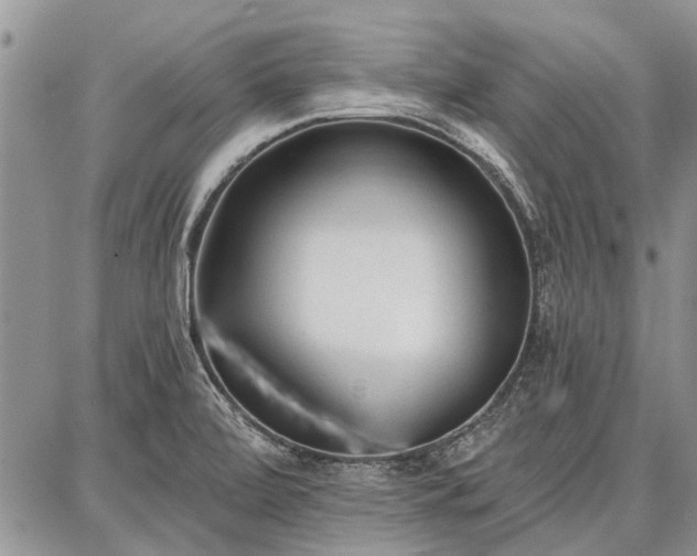 X0000086881472200704231050