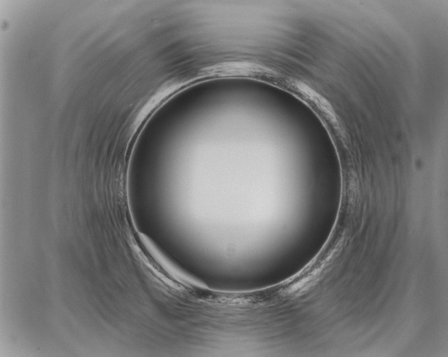 X0000086881473200704231050