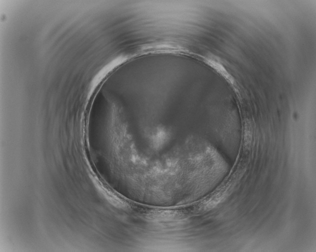 X0000086881474200704231050