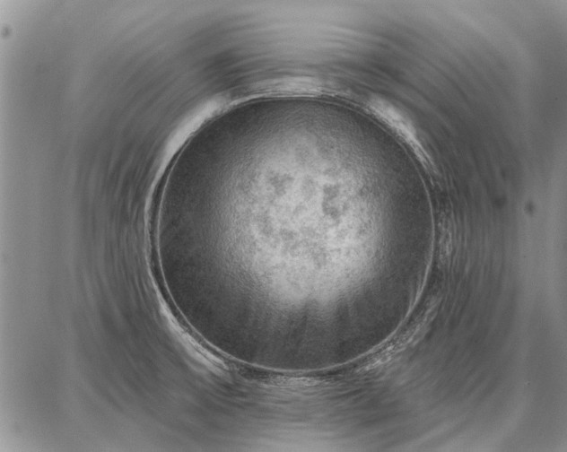 X0000086881475200704231050