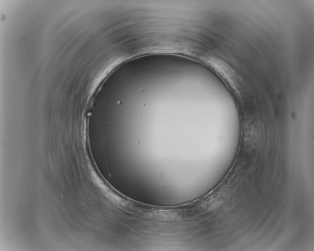 X0000086881476200704231050